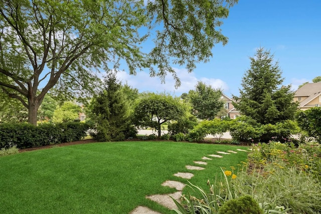 1219 N Lakeview Ct, Palatine, IL 60067 - view of green lawn