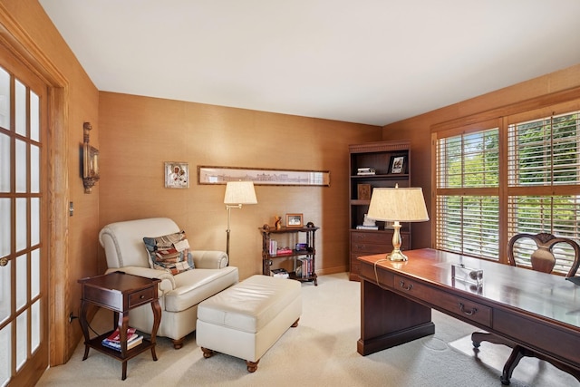 1219 N Lakeview Ct, Palatine, IL 60067 - view of carpeted office