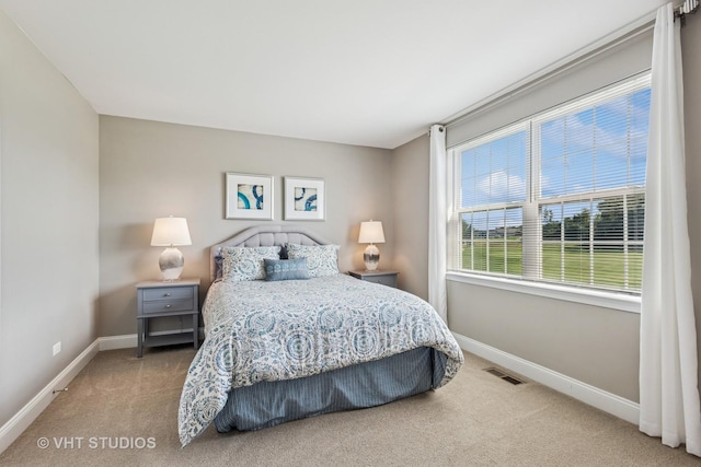 3595 Tournament Dr, Elgin, IL 60124 - photo 21