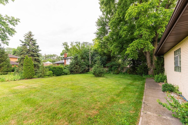 525 Bunning Dr, Downers Grove, IL 60516 - view of green lawn