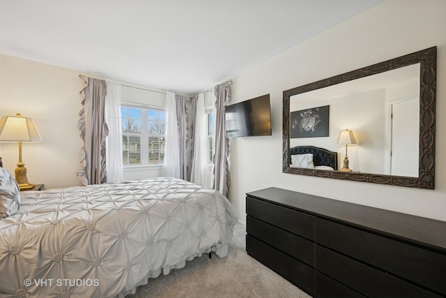 707 Sturnbridge Ln, Schaumburg, IL 60173 - view of carpeted bedroom