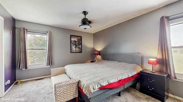 1920 Prairie Path Ln, Carpentersville, IL 60110 - photo 13