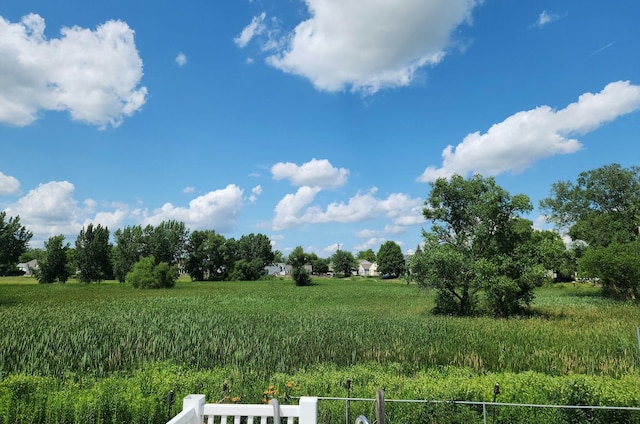 1920 Prairie Path Ln, Carpentersville, IL 60110 - photo 24
