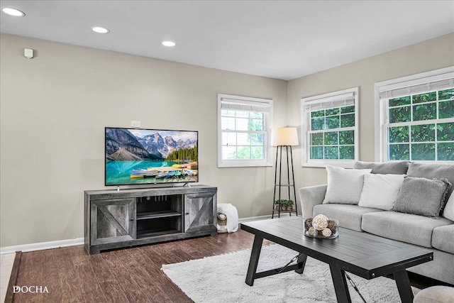 425 W Gartner Rd, Naperville, IL 60540 - living area with dark wood-style floors and recessed lighting