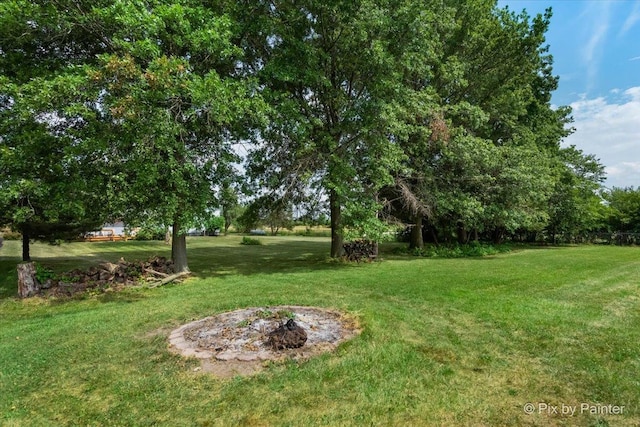 29648 S State Line Rd, Beecher, IL 60401 - photo 28