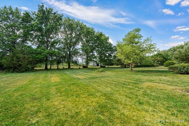 29648 S State Line Rd, Beecher, IL 60401 - photo 37