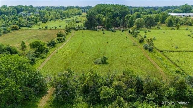 29648 S State Line Rd, Beecher, IL 60401 - photo 41