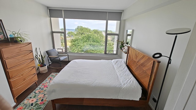 3200 N Lake Shore Dr Unit 502, Chicago, IL 60657 - photo 21