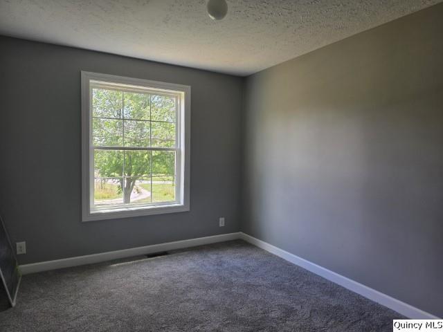 1096 E County Road 350, Sutter, IL 62373 - photo 11