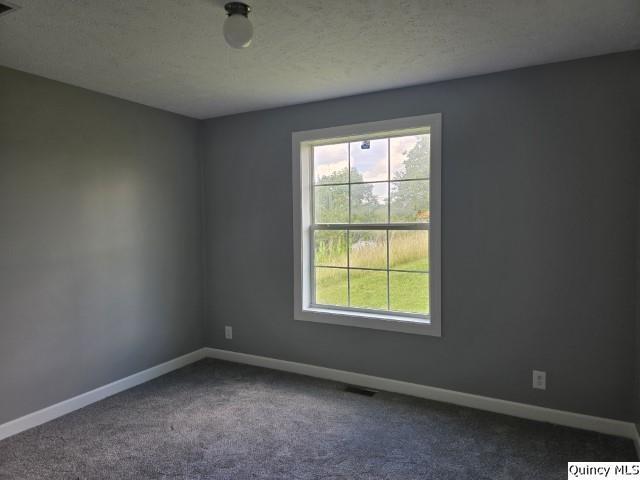 1096 E County Road 350, Sutter, IL 62373 - photo 14
