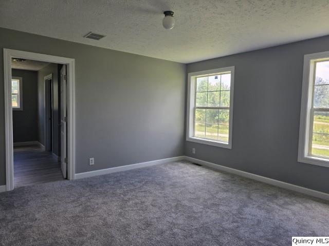 1096 E County Road 350, Sutter, IL 62373 - photo 15