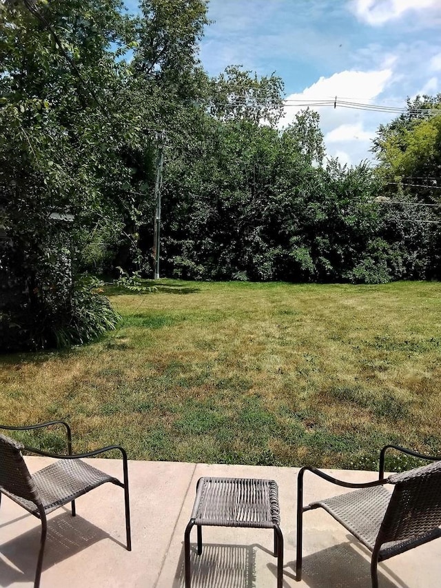 42 Sauk Trl, Park Forest, IL 60466 - view of grassy yard with a patio