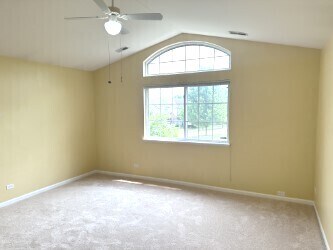 3628 Roanoke Ave Unit 3628, Carpentersville, IL 60110 - photo 8