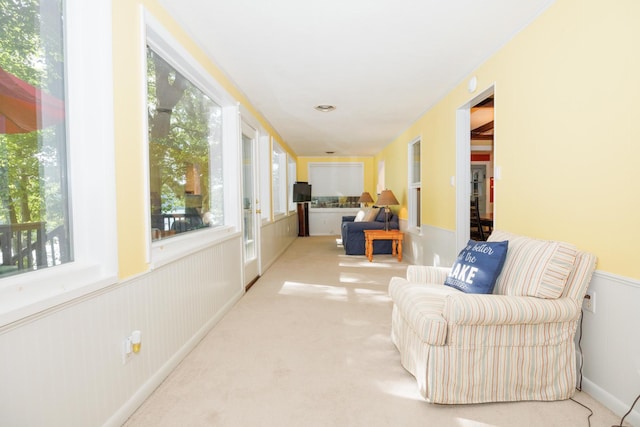 24503 Iroquois Ln, Hudson, IL 61748 - hallway with wainscoting and carpet floors
