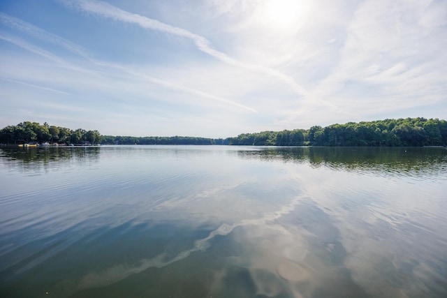 24503 Iroquois Ln, Hudson, IL 61748 - water view