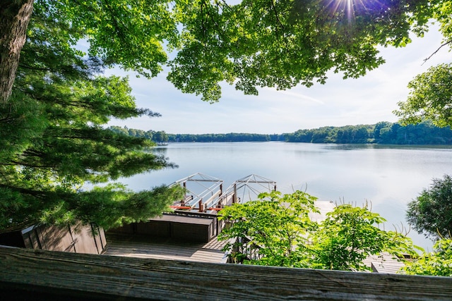 24503 Iroquois Ln, Hudson, IL 61748 - water view featuring a dock