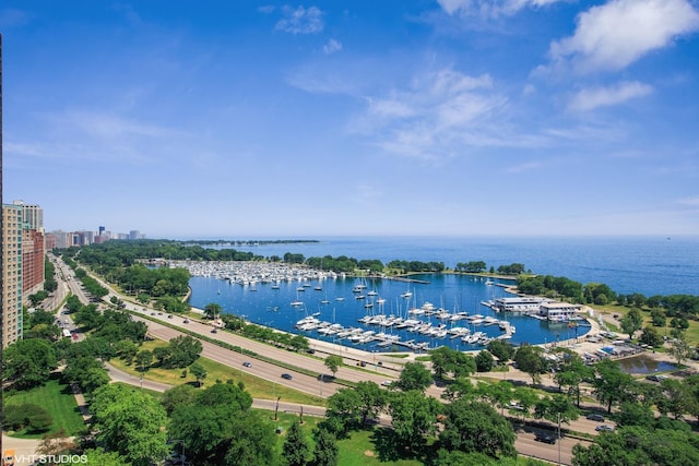 3100 N Lake Shore Dr Unit 1310, Chicago, IL 60657 - photo 2