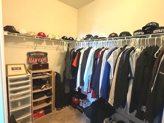 1711 Devonshire Ln, Shorewood, IL 60404 - spacious closet with carpet