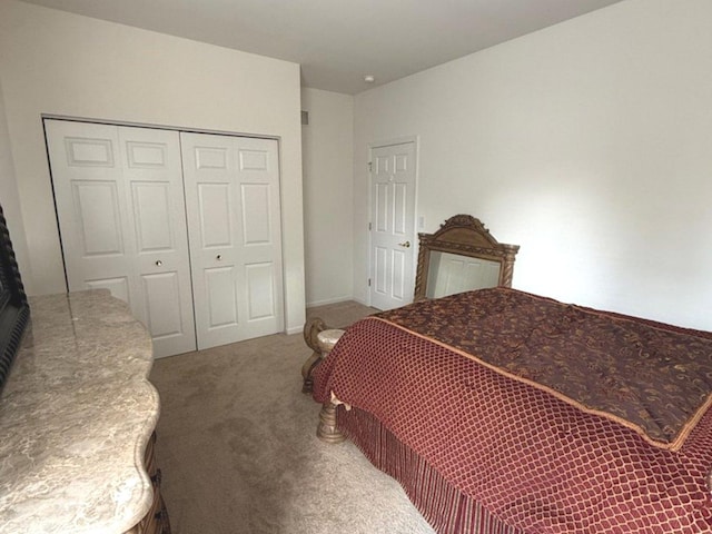 1711 Devonshire Ln, Shorewood, IL 60404 - carpeted bedroom with a closet