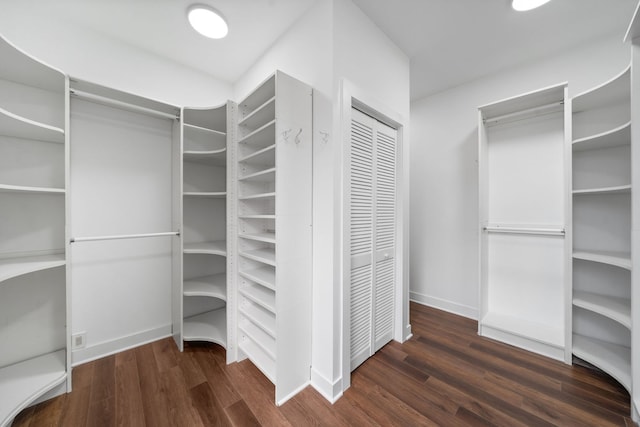 2864 N Riverwalk Dr, Chicago, IL 60618 - walk in closet with wood finished floors