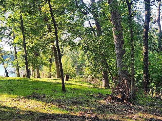 LOT270 Elm Tree Dr, Varna, IL 61375