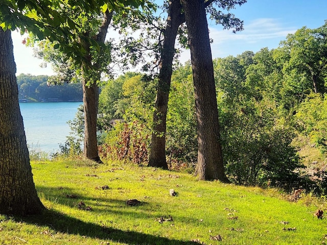 LOT270 Elm Tree Dr, Varna, IL 61375