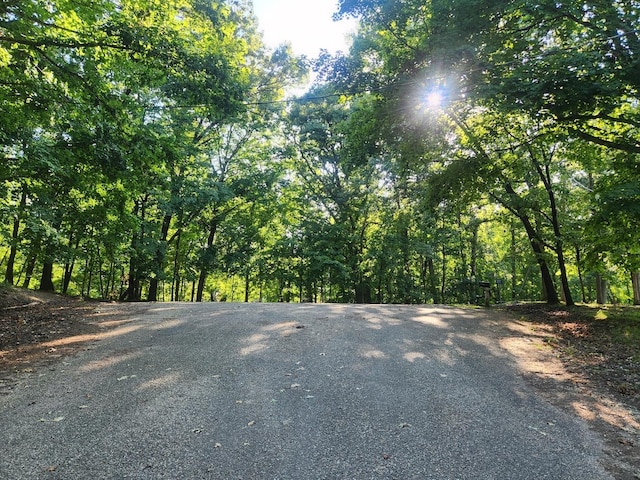 LOT270 Elm Tree Dr, Varna, IL 61375