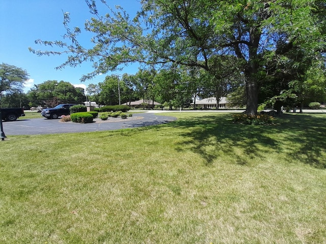 154 E US Highway 34, Mendota, IL 61342 - view of grassy yard