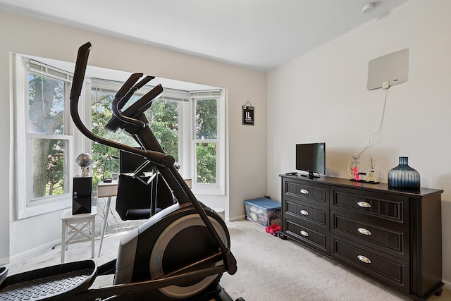 179 Roberts Rd, Bolingbrook, IL 60440 - exercise room with light carpet and plenty of natural light