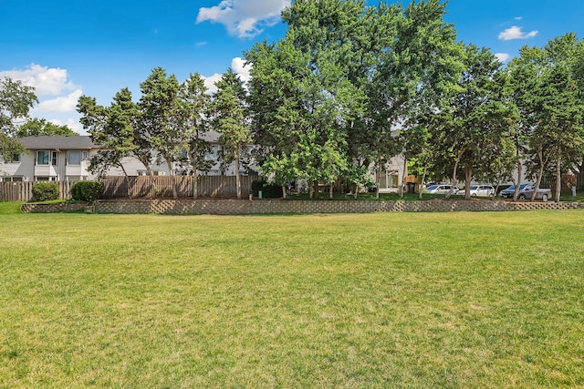 179 Roberts Rd, Bolingbrook, IL 60440 - view of yard