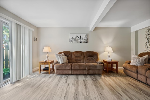 179 Roberts Rd, Bolingbrook, IL 60440 - living area with light wood finished floors