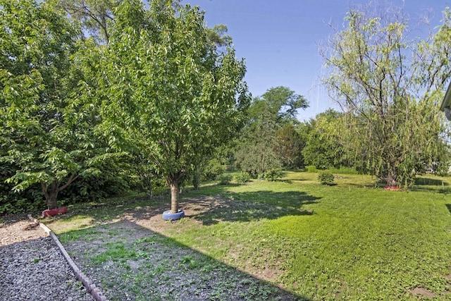 9S104 Aero Dr, Naperville, IL 60564 - photo 29
