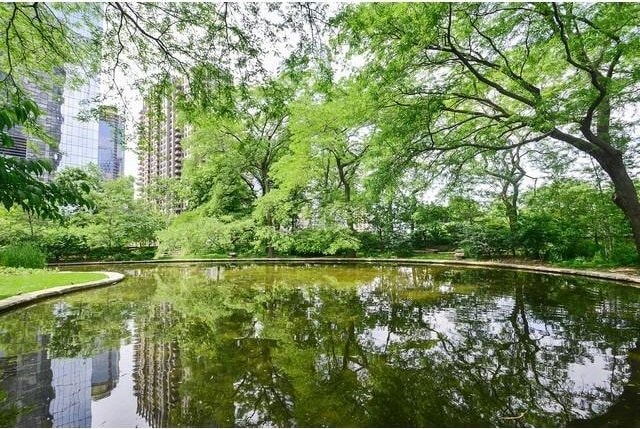 505 N Lake Shore Dr Unit 408, Chicago, IL 60611 - view of property's community featuring a water view