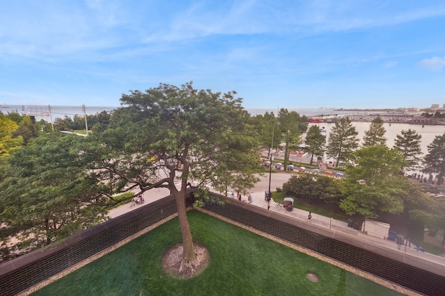 505 N Lake Shore Dr Unit 408, Chicago, IL 60611 - view of yard featuring a water view