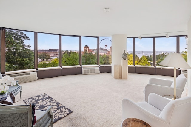 505 N Lake Shore Dr Unit 408, Chicago, IL 60611 - view of carpeted living area