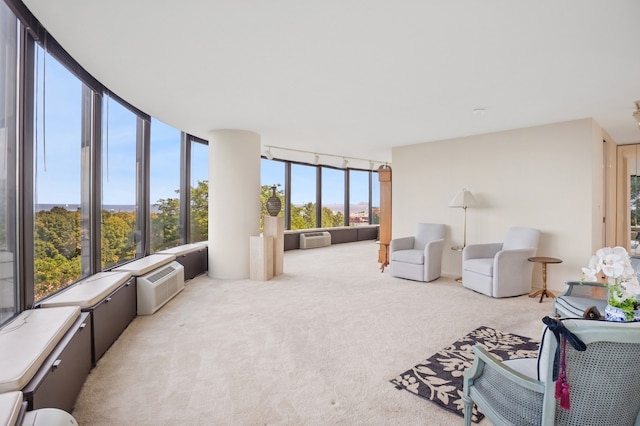 505 N Lake Shore Dr Unit 408, Chicago, IL 60611 - living area featuring carpet flooring and a wall mounted air conditioner