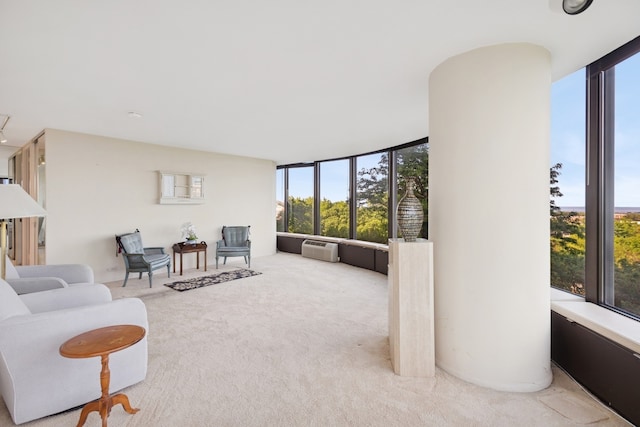 505 N Lake Shore Dr Unit 408, Chicago, IL 60611 - living room featuring healthy amount of natural light, carpet flooring, a wall of windows, and a wall unit AC