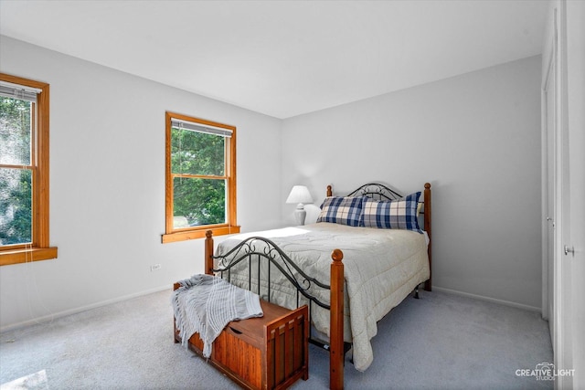 245 Terrance Dr, Naperville, IL 60565 - photo 17