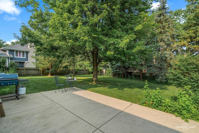 245 Terrance Dr, Naperville, IL 60565 - photo 24