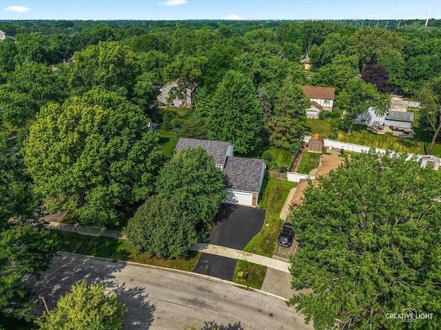 245 Terrance Dr, Naperville, IL 60565 - photo 28