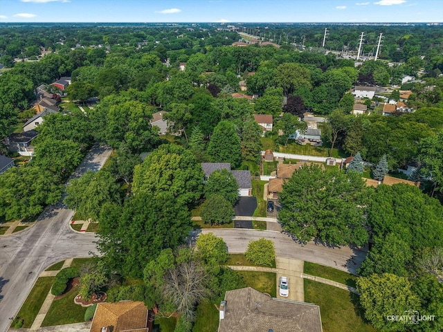 245 Terrance Dr, Naperville, IL 60565 - photo 30