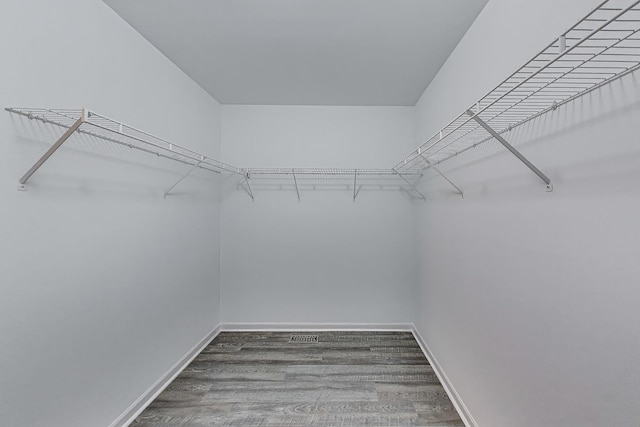 31692 N Clearwater Dr, Lakemoor, IL 60051 - spacious closet featuring wood finished floors
