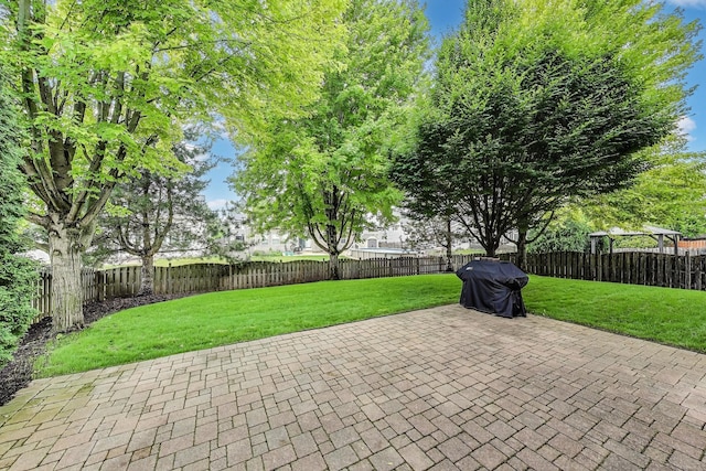 31692 N Clearwater Dr, Lakemoor, IL 60051 - fenced backyard featuring a patio and grilling area