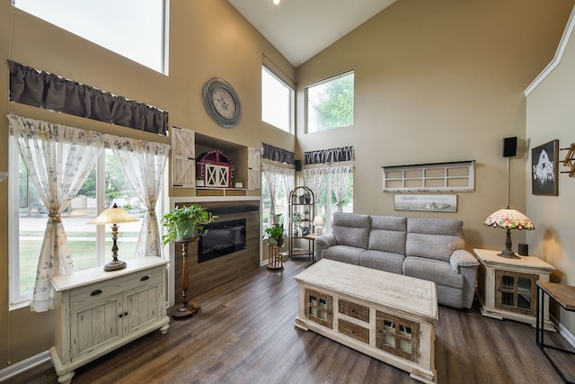 1934 Stoneheather Ave, Aurora, IL 60503 - living area with high vaulted ceiling, a glass covered fireplace, and dark wood-type flooring