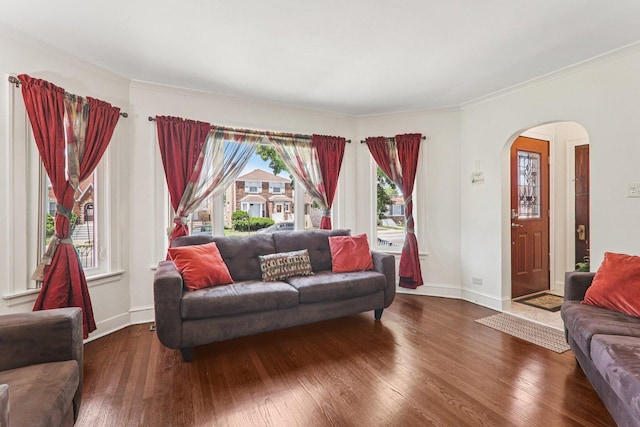 4517 N Austin Ave, Chicago, IL 60630 - living area featuring arched walkways, healthy amount of natural light, hardwood / wood-style flooring, and crown molding