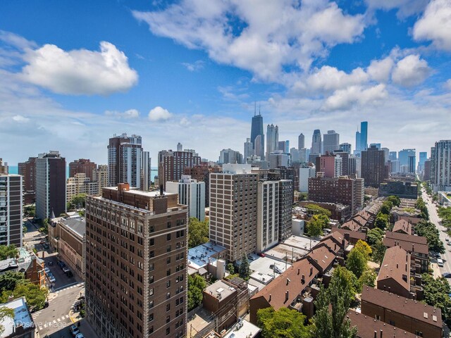 88 W Schiller St Unit 2108L, Chicago, IL 60610 - photo 14