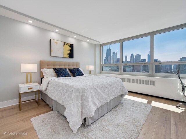 88 W Schiller St Unit 2108L, Chicago, IL 60610 - photo 19