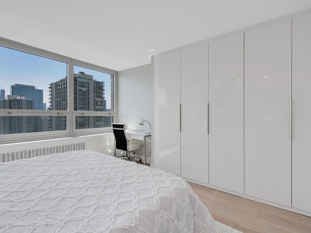 88 W Schiller St Unit 2108L, Chicago, IL 60610 - photo 21