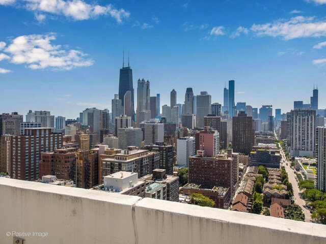 88 W Schiller St Unit 2108L, Chicago, IL 60610 - photo 29
