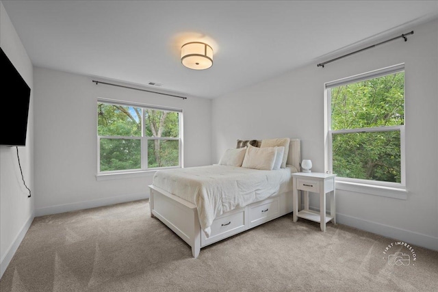 657 Bourbon Ct, Naperville, IL 60565 - bedroom with light colored carpet and baseboards